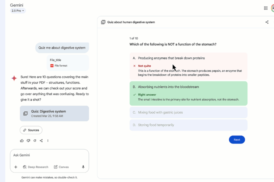 Interactive questionnaire generated through a PDF file uploaded to Gemini Canvas.