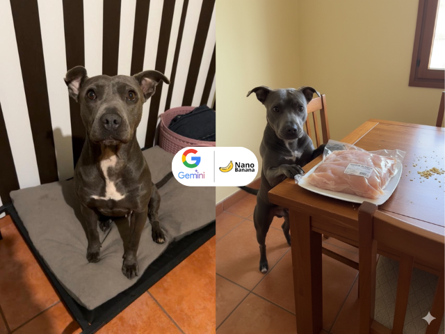 Nano Banana: Gemini Image Editor